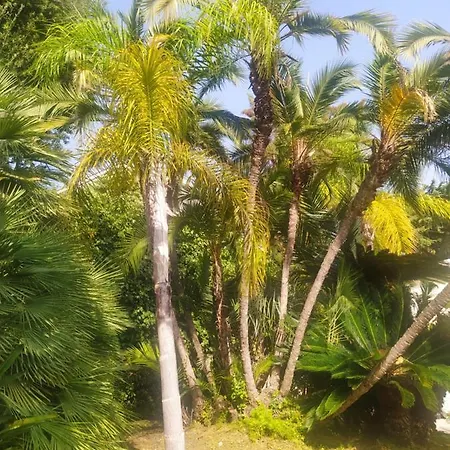 Pergolato Appartamento