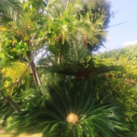 Appartamento Pergolato *